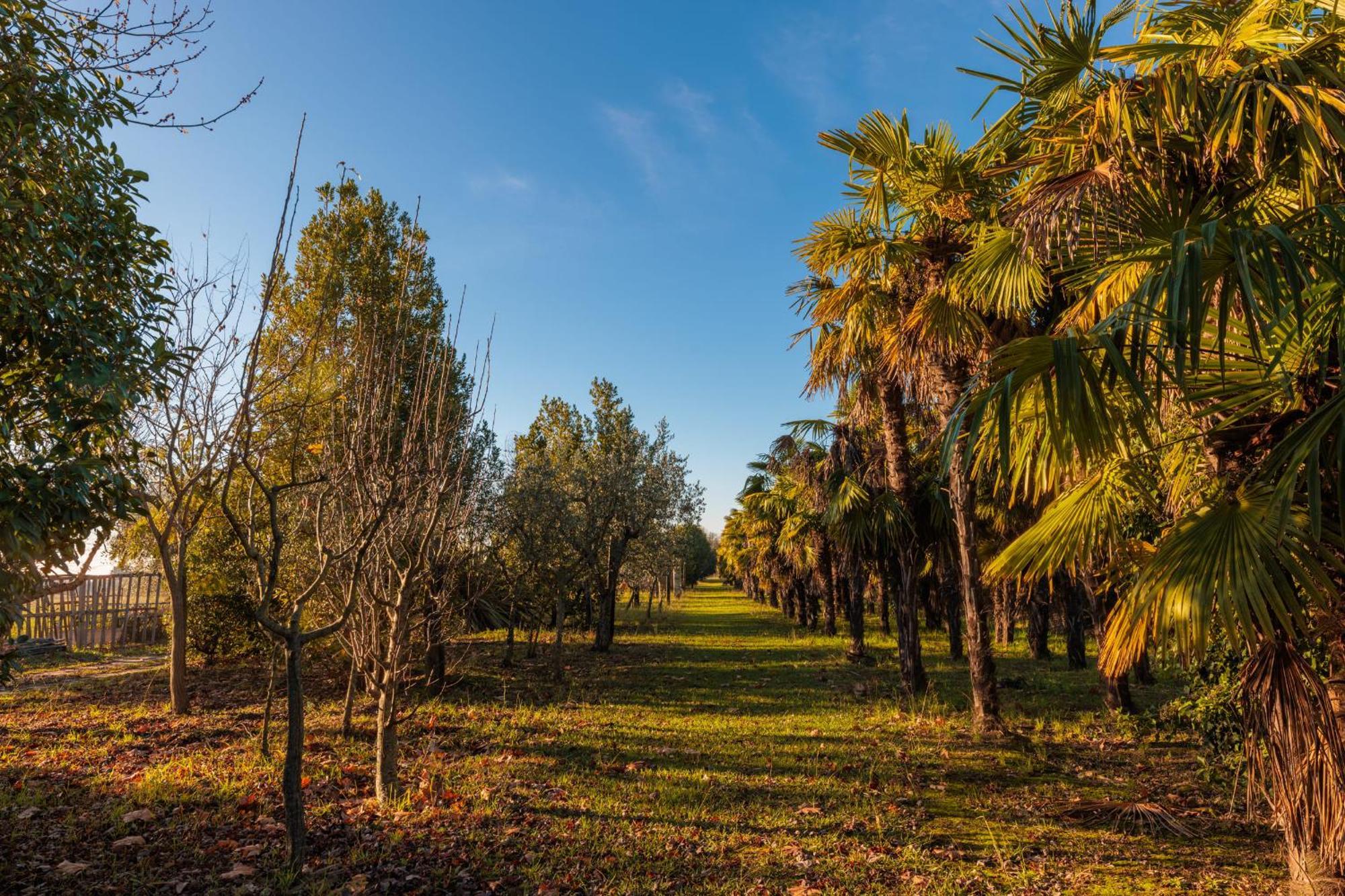 Camping Il Pruno - Luxury Tent